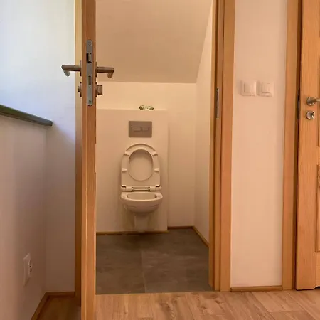 Dom wakacyjny Dom Pod Brzozami