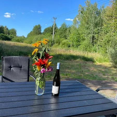 Ferienhaus Dom Pod Brzozami *